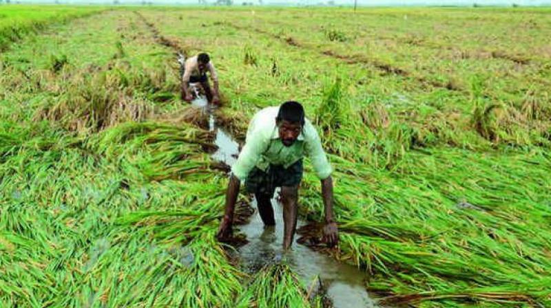 Farmer ire is genuine: Mallu Bhatti Vikramarka