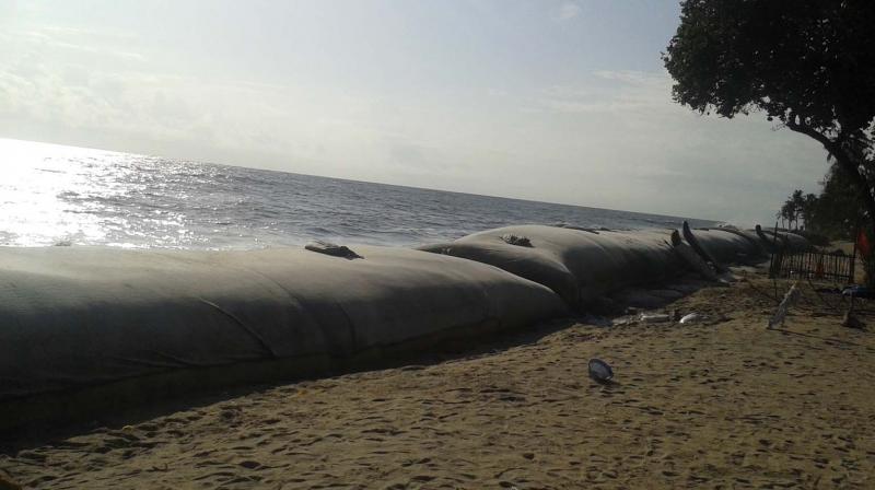 The Geosystems tubes placed along the Madhavamukku coast, Neerkunnam in April 2016. 	(Photo: DC)