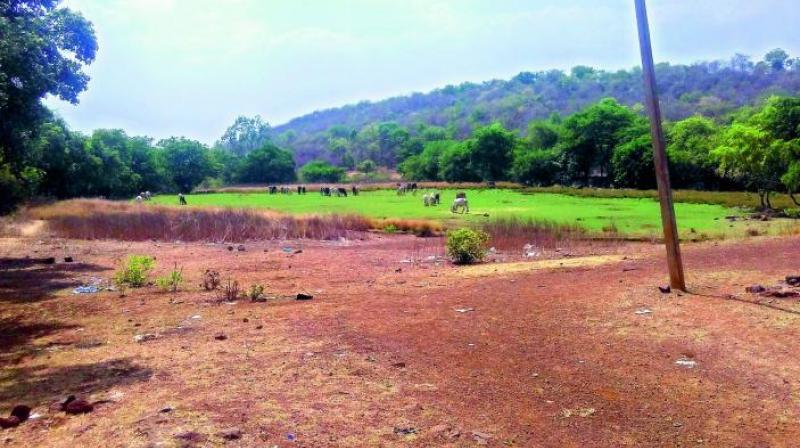 Mr Sridhar Pabbisetty, CEO, NBF, said,  As per V. Balasubramanians report, 27,336 acres of government land has been encroached in BBMP limits. (Representational image)