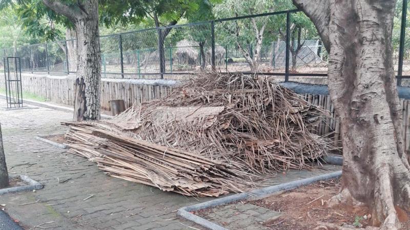 Thatches will be used for roofs of shelters and sheds.    Image: DC