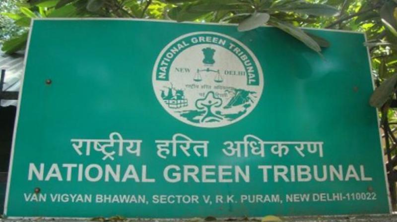Government officials and private companies often see red when the National Green Tribunal steps in to stop work on an ongoing project.
