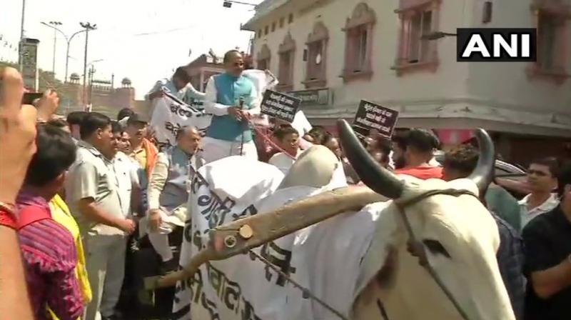 Union Minister Vijay Goel rides bullock cart, demands fuel price cut from Delhi govt
