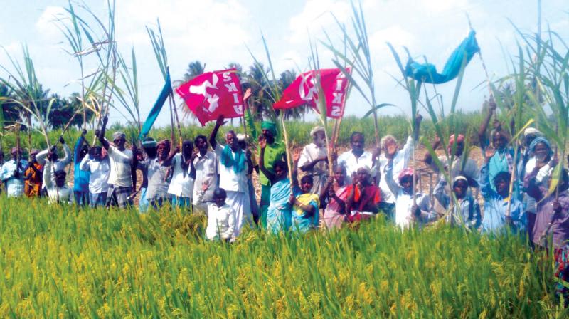 Farmer associations stage demonstration in Mettutheru village near Ariyalur on Friday.  DC