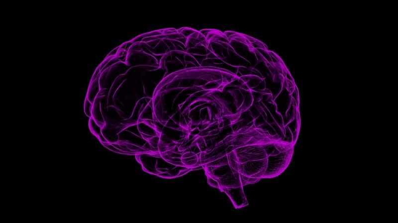 Scientists identify brain roots of pessimism. (Photo: Pixabay)