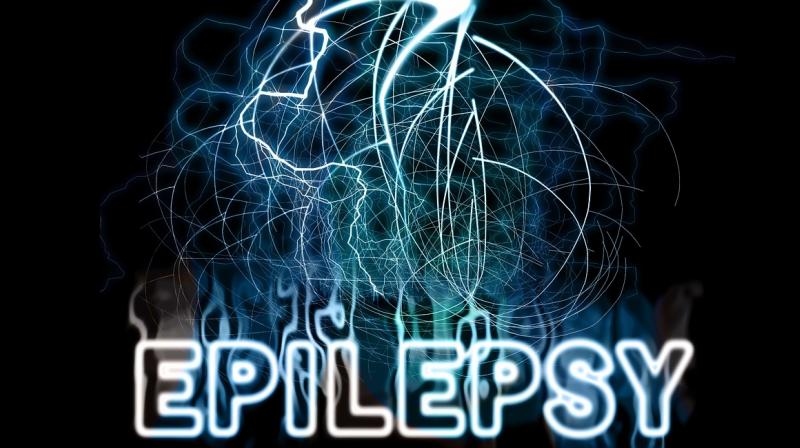 Brain proteins reveal clues to understanding epilepsy. (Photo: Pixabay)