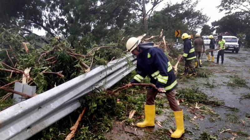 Fire Service personnel removing a huge trunk of a tree that fell during a storm at Nagercoil in Kanyakumari district. (Photo: PTI)