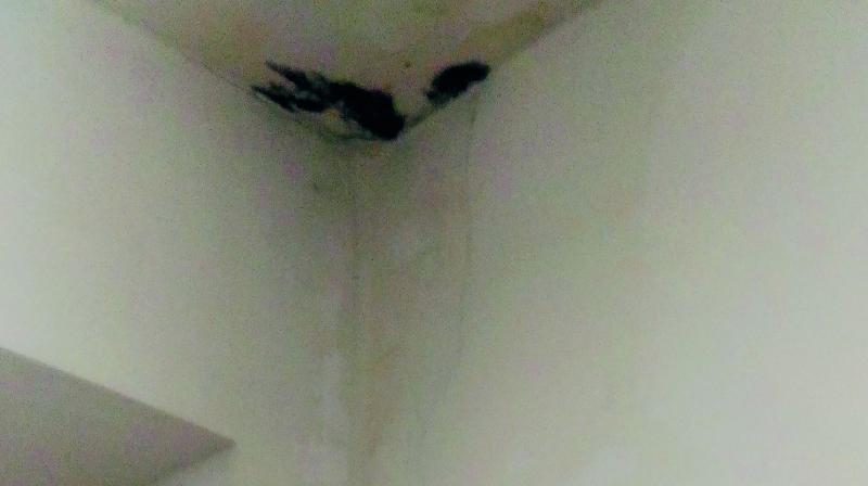 The leaking roof of the Central Crime Station building seen in the cybercrime police station in the complex. (Photo: DC)