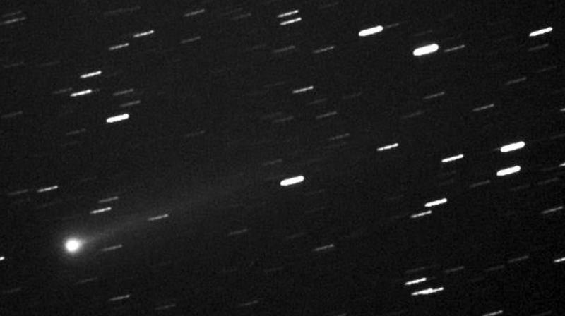 Photo taken by Konrad Horn of periodic comet  41P exposed on 2000 December 24)