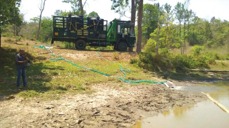 Forest staff refilling dried up waterholes at Kurichiad  forest range inside the Wayanad Wildlife Sanctuary on Friday.