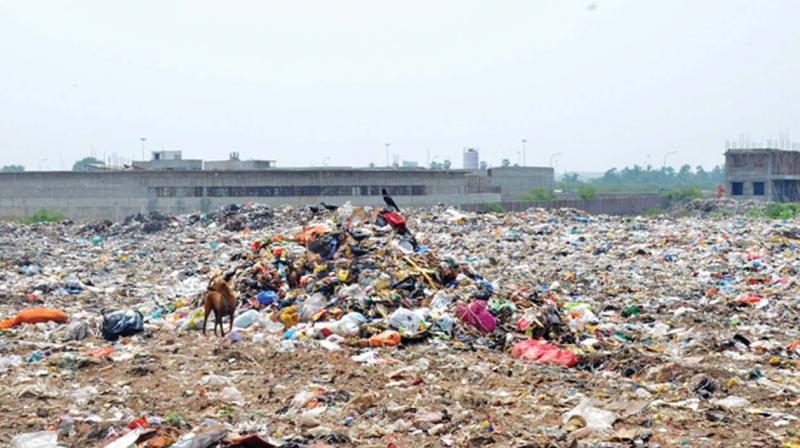 A view of the Tiruvottiyur garbage yard where the body was found.