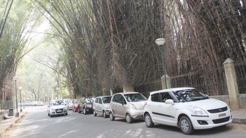 After conducting a survey, the Horticulture and PWD departments had proposed closure of three gates to traffic in Cubbon Park nearly a month ago. (Photo: DC)