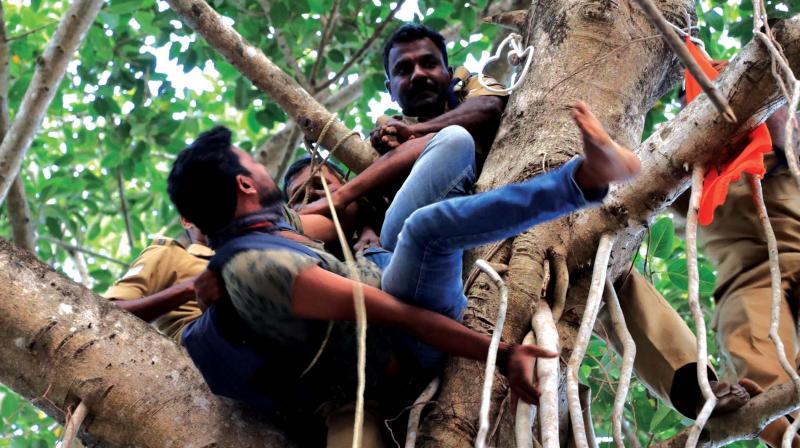 Fire Force personnel prevent a protester, Shinith, from jumping off a tree in capital on Tuesday. 	(Photo: Mohammed Mazhar)