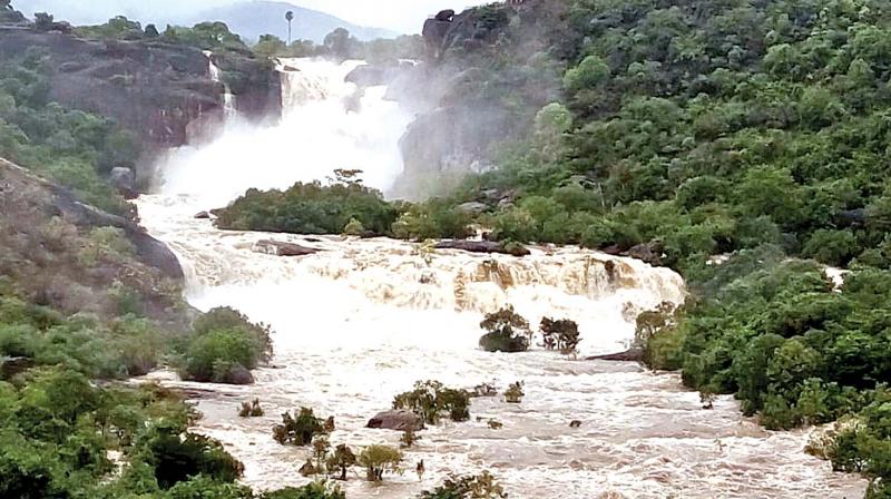 Flooded Agasthiyar falls at Papanasam in Tirunelveli district on Monday.    (Image: DC)