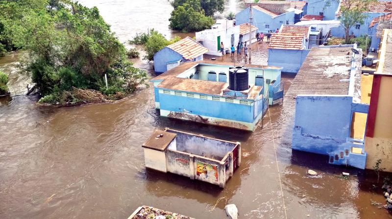 Houses in Sathyamangalam that got inundated by flood waters.
