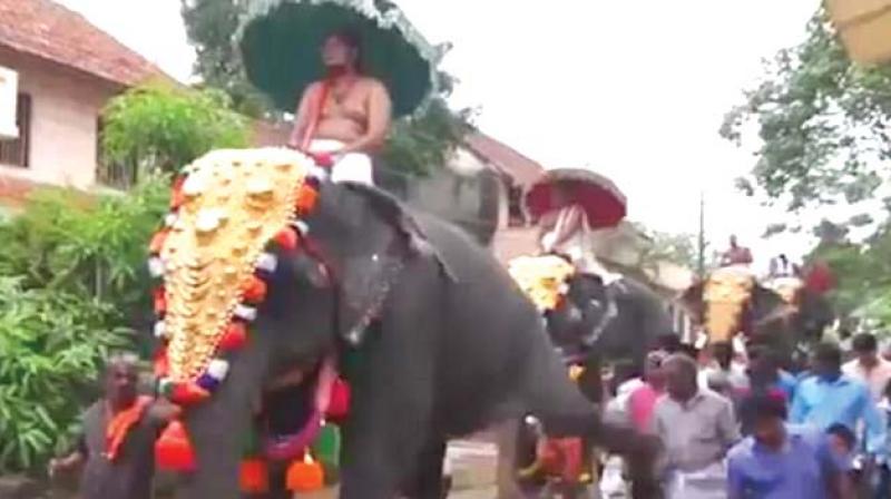 A video grab of the elephant kicking an old man.