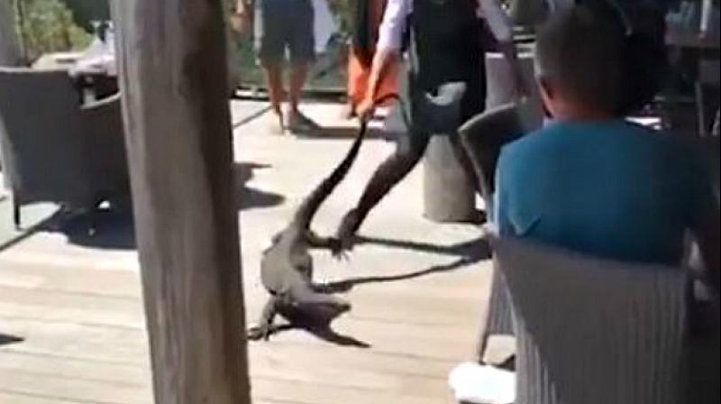 The badass in question  25-year-old Samia Lila  whisked the scary-looking reptile by its tail even as diners could be heard shrieking and hooting in the video clip. (Credit: Facebook)