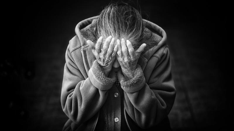 Security cameras mounted outside the private nursing home in Brusque, south Brazil, show the moment the vehicle pulls up just before midnight and the 64 year old gets out. (Photo: Pixabay)