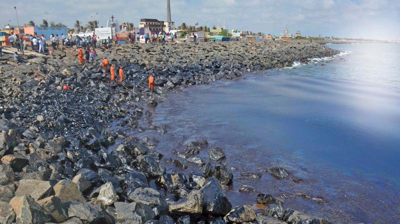 On the rocks are bystanders watching the episode, some covering their noses not being able to stand the stench, and some clicking selfies with their families.