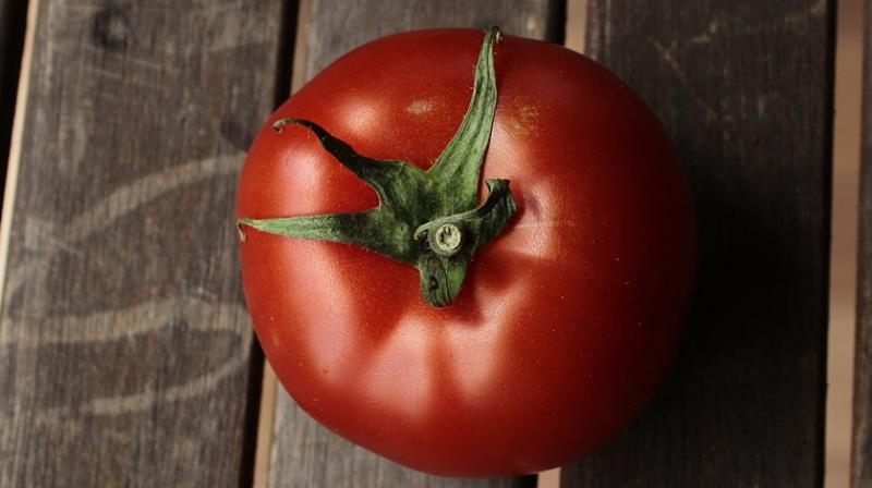 Alien tomato freaks out Reddit users. (Photo: Pixabay)