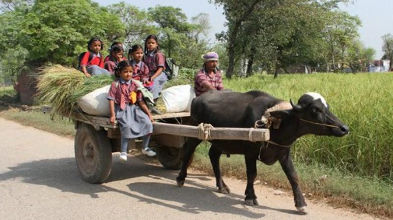 School children travel back in a bullock cart to their village near the India-Pakistan International border after schools were shut down following firing in RS Pura sector of Jammu on Saturday. (Photo: PTI)