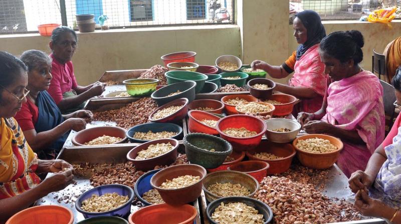 Cashew workers in a factory (file pic)