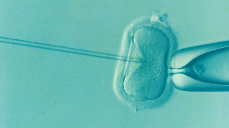 Chances of miscarriage among IVF women increase due to daylight savings