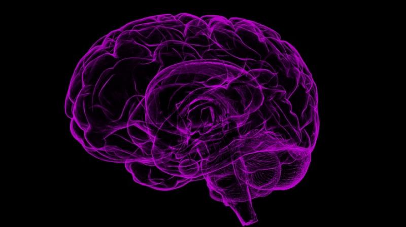 Scientists create tiny impant to deliver drugs deep into the brain. (Photo: Pixabay)