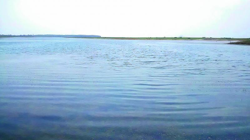 Mahanadi River