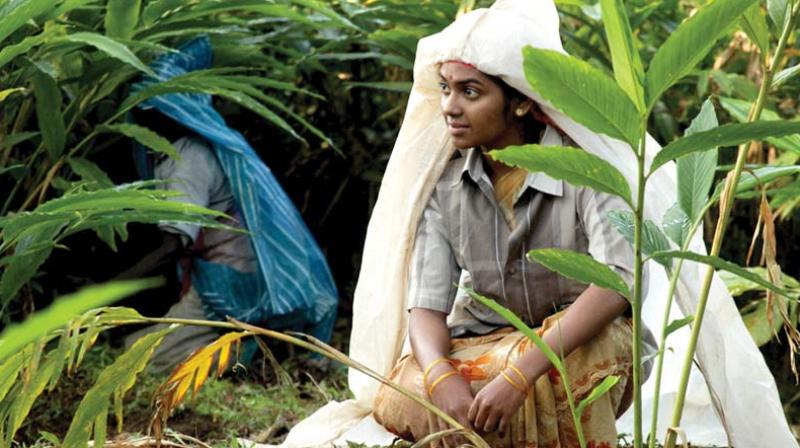 A still from the Tamil film Western Ghats.