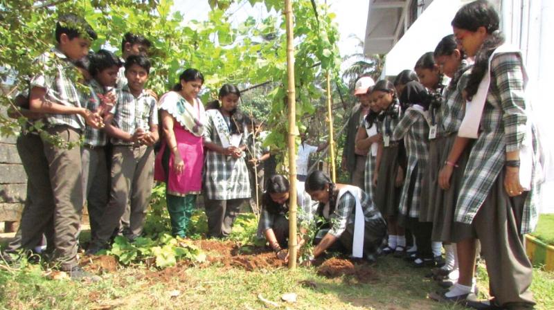 Students planting saplings as part of My Nature - My Valentine challenge on Tuesday.