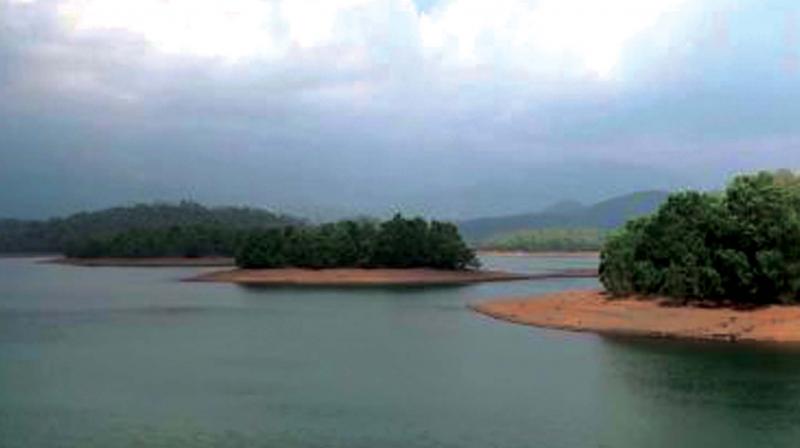 Peppara dam (file pic)