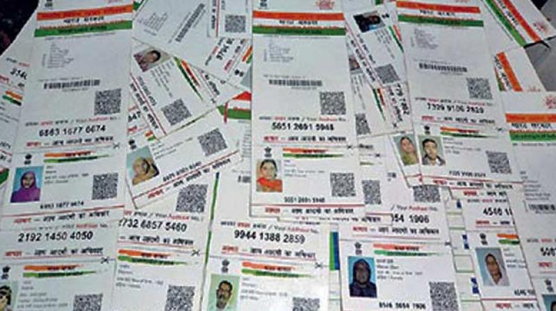 Aadhaar is a 10-digit unique ID that has been made compulsory for many government schemes. (Photo: PTI)
