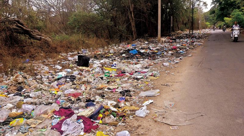 Garbage thrown in ITI Colony. (Photo: DC)