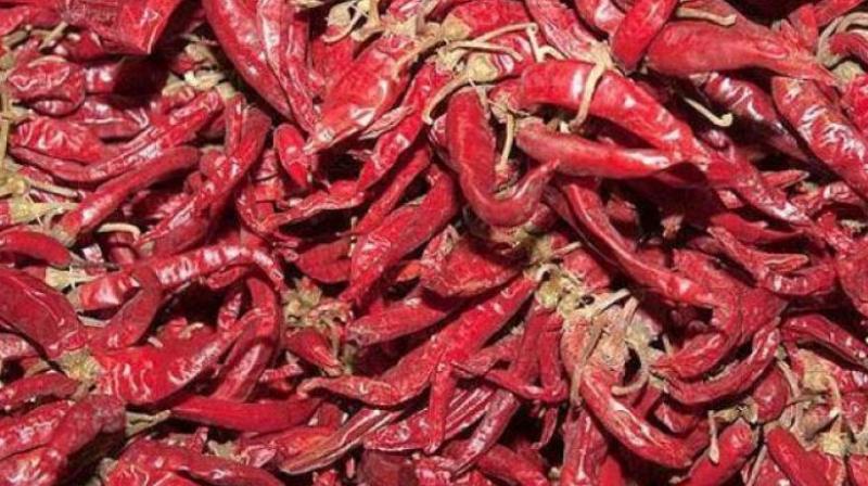 Angered over the gimmicks of middlemen and traders at the Mahbub Mansion Market in Malakpet, red chilli farmers held a massive protest demanding minimum support price.