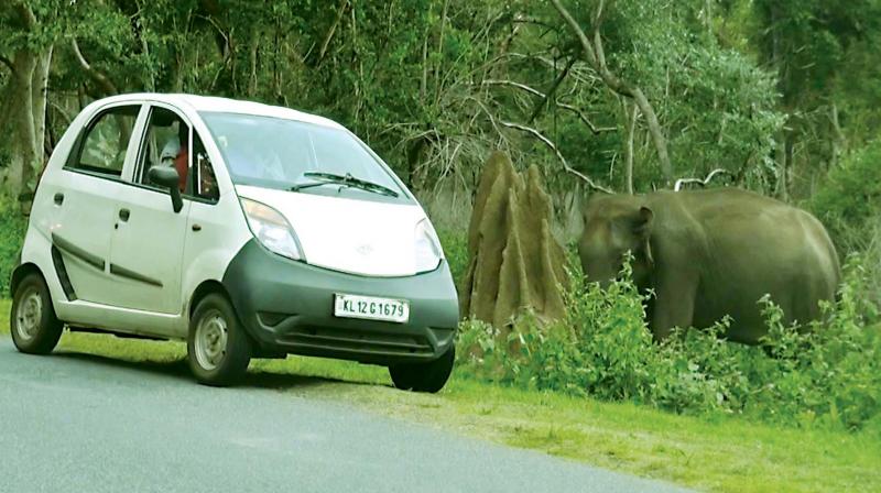 Patrolling forest teams warn such visitors, but it is humanly impossible for the staffers to monitor all such activities and visitors. Fortunately, there have been no wild animal attacks on travellers inside the park till now, forest officials told Deccan Chronicle.