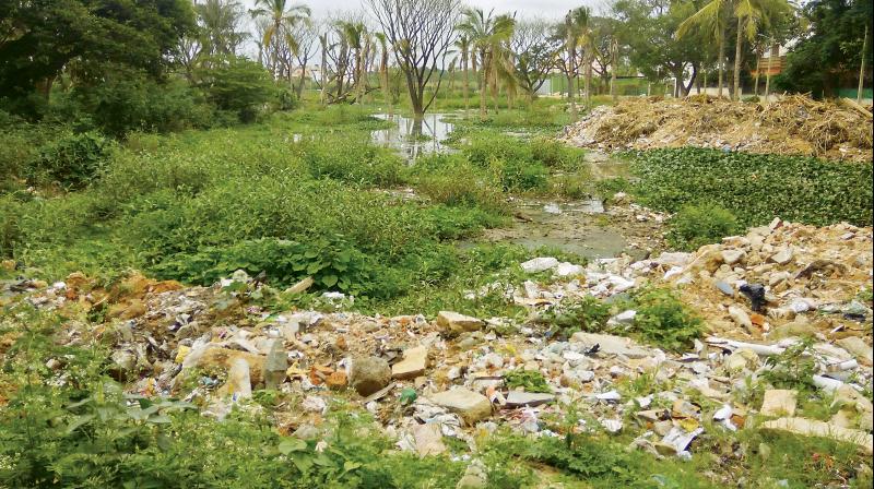 Kaggadasapura lakebed covered with construction debris and garbage. (Photo: R. Samuel)