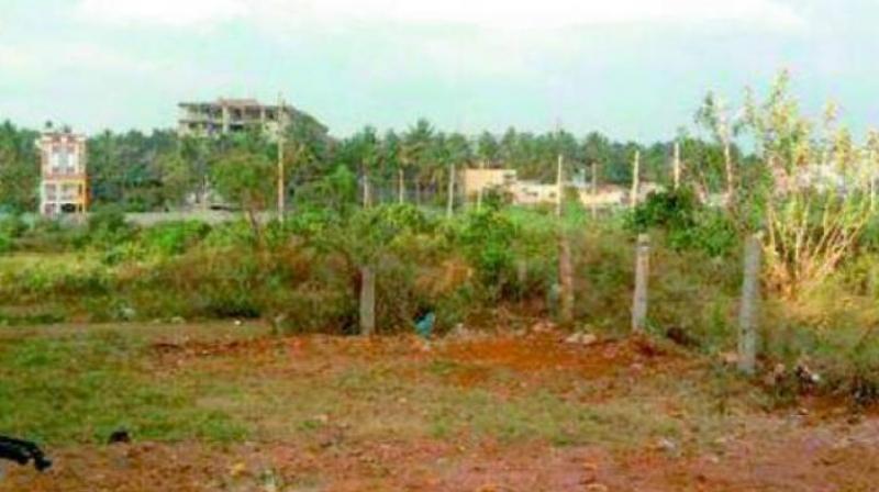 Andhra Pradesh also stands sixth in the country to divert its forest land, having diverted more than 3,474.57 hectares of land during that tenure. (Representational Image)