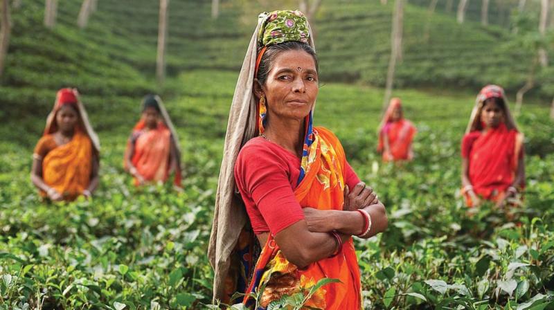 Women workers at a tea plantation.