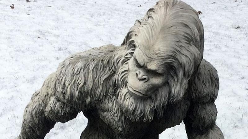 Yeti no more: Mystery solved, DNA evidence suggests ancient samples belong to bears