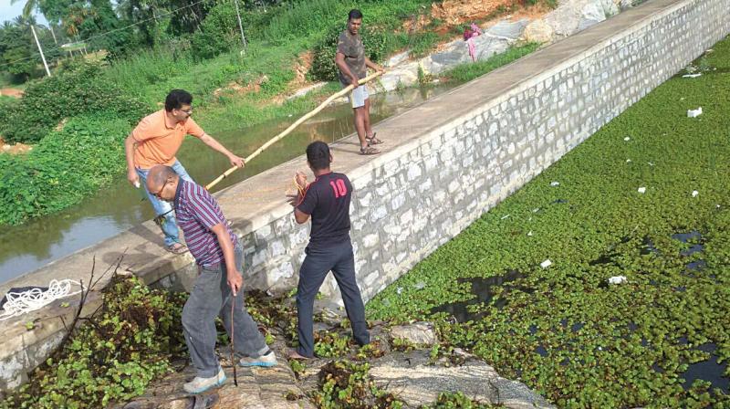 The residents fear that if the civic agencies do not take the custody of Venkateshpura lake, it would be subjected to further encroachment by the builders.