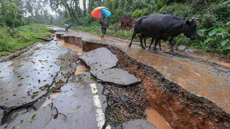 People walk past a road that was damaged due to heavy monsoon rains, in Kodagu.( Photo: PTI)