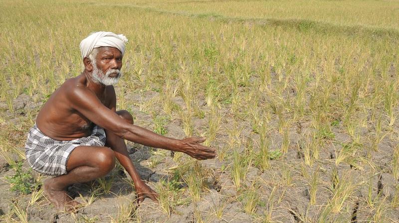 Madurai received below average rainfall of 535.43 MM and 615.72 MM in 2012 and 2013 respectively.