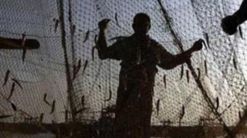 According to sources, about 23 fishing vessels registered in Tamil Nadu took shelter at Miryabandar (Maharashtra) to avoid getting caught in the cyclone Ockhi.