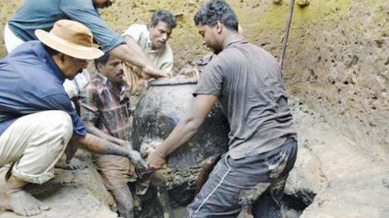 Prof Cherian(wearing hat) in the excavation process. (Photo: DC)