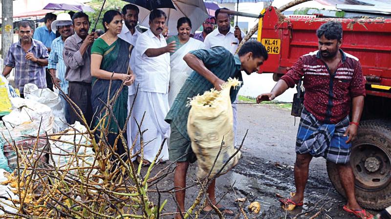 Mayor Soumini Jain leads the eviction and cleaning drive, along with councilors Shiny Mathew and P.D. Martin, at Panampally Nagar in Kochi on Saturday. (Photo: DC)