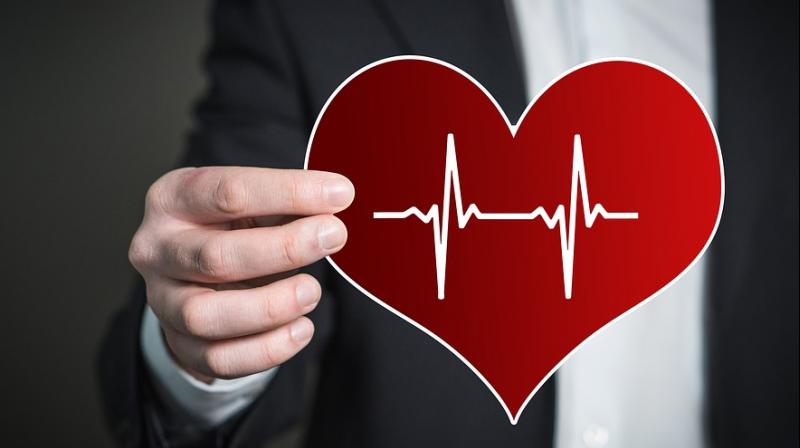 Heart disease risk is higher for transgender people. (Photo: Pixabay)