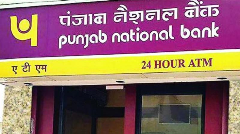 State-owned Punjab National Bank (PNB) has hired lawyers to represent itself in the bankruptcy proceedings of the US-based Firestar Diamond.