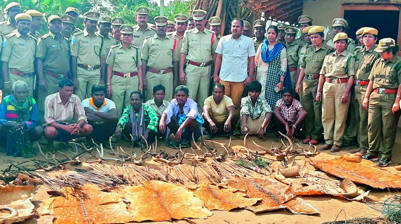 Skins and horns of wild animals recovered from Gothikoyas at Chalamanna village under Mulakalapalli mandal in Bhadradri-Kothagdem district on Tuesday. (Photo:  DC)