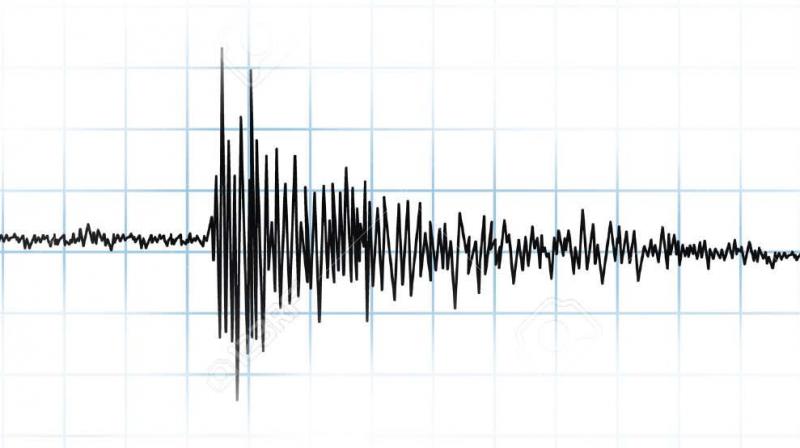 None of the 15 Richter scales across the state recorded any seismic activity, the Karnataka State Natural Disaster Monitoring Centre noted.