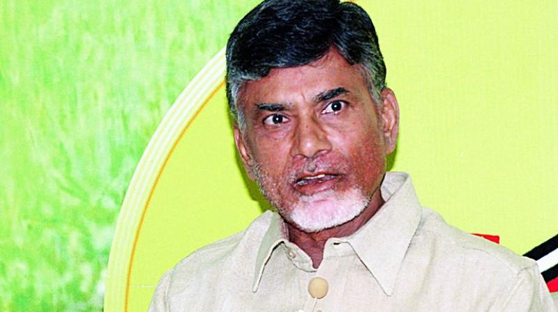 Chief Minister N Chandrababu Naidu